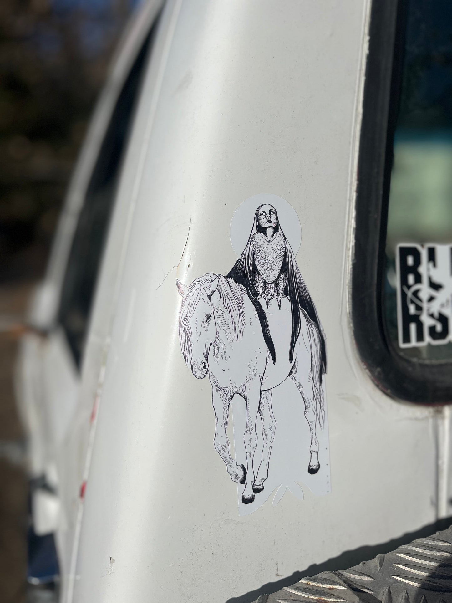 pony's companion