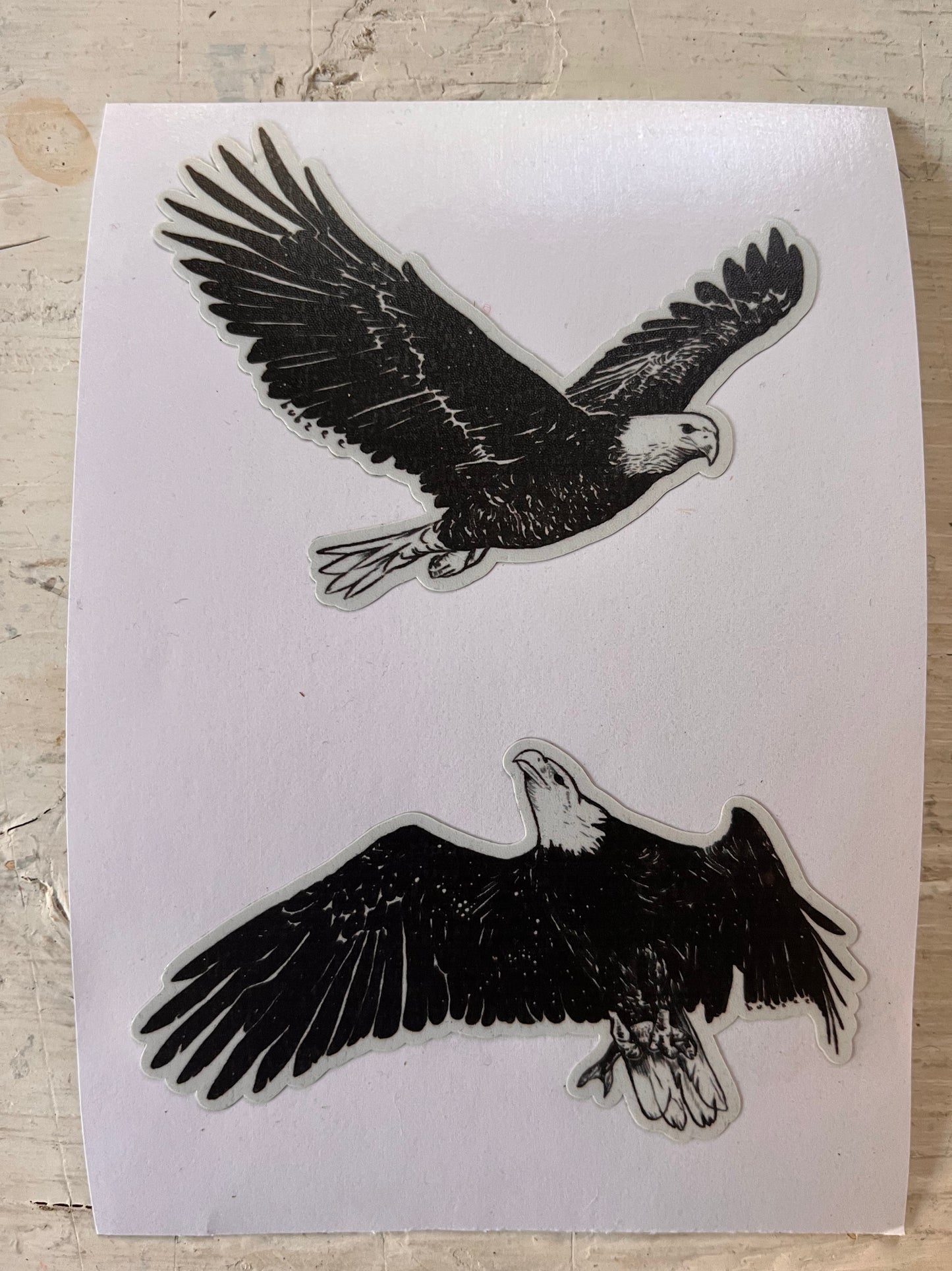 eagle lovers